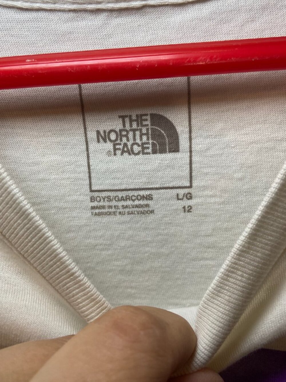 The North Face Boys Landscape Graphic T-Shirt Size Large 100% Cotton - Picture 3 of 8